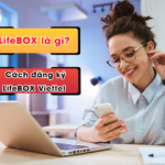 lifebox la gi