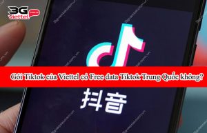 Gói Tiktok của Viettel có Free data Tiktok Trung Quốc không?