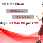 dki goi camau viettel