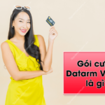 Datarm Viettel la gi