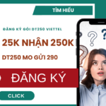 cach dang ky dt250 viettel