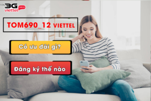 goi tom690 12 viettel la gi