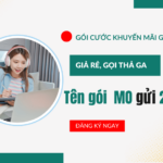 dang ky goi cuoc khuyen mai goi viettel