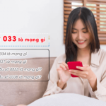 dau so 033 la mang gi