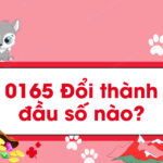 0165 doi thanh dau so nao