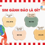 sim ganh dao la gi
