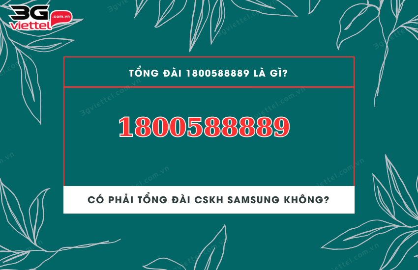 1800588889 la tong dai gi