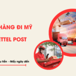 gui hang di my viettel post