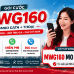 goi cuoc mwg160 viettel