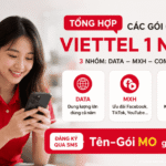 goi cuoc viettel 1 nam
