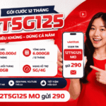 goi cuoc 12t5g125 viettel